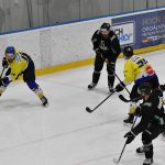 Budějovický Samson první mečbol nevyužil, Veselí odmítlo konec sezony