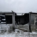 Týrání zvířat na Strakonicku. Klisna měla přerostlá kopyta a provaz zarůstající do rány na noze