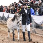 Zemský hřebčinec Písek zve na přehlídky plemenných koní