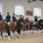 Zemský hřebčinec Písek zve na přehlídky plemenných koní