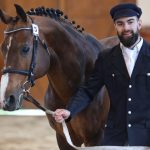 Zemský hřebčinec Písek zve na přehlídky plemenných koní