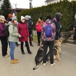 Cestou necestou, lesem nelesem, loukou neloukou