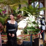 Jihočeské muzeum zaplnily orchideje a další exotické rostliny, na výstavě je i poradna