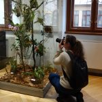 Jihočeské muzeum zaplnily orchideje a další exotické rostliny, na výstavě je i poradna
