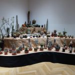 Jihočeské muzeum zaplnily orchideje a další exotické rostliny, na výstavě je i poradna