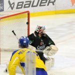 Martin Hanzal hattrickem zvrátil první finále na stranu Samsonu. Milevsko nadějný duel nedotáhlo