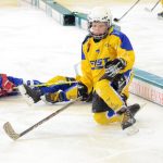 Třeťáci Milevska zakončili ligovou soutěž s brankářem v poli