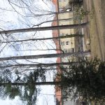 Štěpánčin park v Prachaticích dostal novou podobu. Narkomany a opilce v něm vystřídají senioři a maminky s dětmi