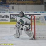 VIDEO: Kohouti dali Příbrami znovu pouze jeden gól. V pátek pojedou na led soupeře odvracet konec sezony