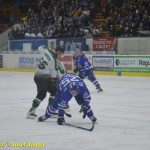 VIDEO: Kohouti dali Příbrami znovu pouze jeden gól. V pátek pojedou na led soupeře odvracet konec sezony