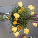 Floristická soutěž Soběslavská růže slaví jubileum. Práce žáků představí veřejnosti v pátek