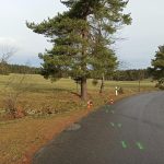 Tragická nehoda motorkáře na Jindřichohradecku. Nepřežil náraz do stromu