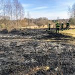 Požár pily na Táborsku. Hasiči uchránili majetek za 50 milionů