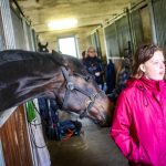 VIDEO: Dostihová stáj v Bošovicích otevřela brány veřejnosti