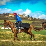 VIDEO: Dostihová stáj v Bošovicích otevřela brány veřejnosti