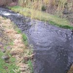 Na smrtnou neděli vynášeli obyvatelé obce Hamr Moranu do Koštěnického potoka