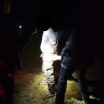 Řidič zběsile ujížděl policii. V lese ho vystopoval služební pes