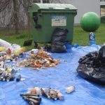 Žádné překvapení. V kontejneru bylo dost odpadu, který tam končit nemusí