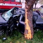 Řidička dostala v zatáčce smyk a narazila s autem do stromu