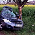 Řidička dostala v zatáčce smyk a narazila s autem do stromu