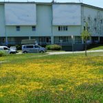 Českobudějovické trávníky budou i letos kvést a bzučet