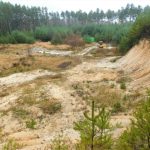 Calla a Základní škola Ledenice zahajují projekt na ochranu přírody v ledenické pískovně