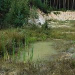 Calla a Základní škola Ledenice zahajují projekt na ochranu přírody v ledenické pískovně
