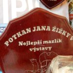 Šlechtěné potkany vystavovali v táborské botanické zahradě