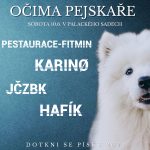 Slavnost Dotkni se Písku oživí město