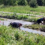 VIDEO: Extrémní překážkový závod Jindřichohradecký lev si nenechalo ujít sedm set závodníků