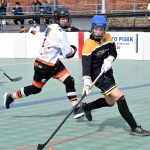 Písek - Suchdol nad Lužnicí 