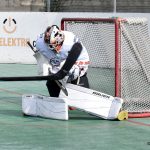 Písek - Suchdol nad Lužnicí 