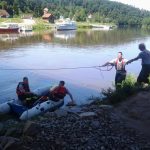 Ropa na řece u Hluboké nad Vltavou