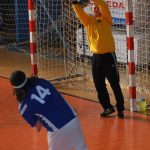 Házenkáři Milevska se v domácí premiéře drželi