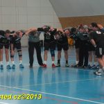 Fotoobjektivem: Ohlédnutí za druholigovou házenou Spartak MAS versus Loko ČB