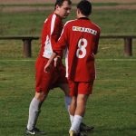 Sepekov opět prohrál, v cestě mu stál Jan Koller