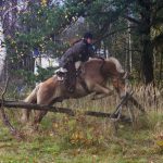 Ohlédnutí za Hubertskou jízdou rančů Ixion a Semice