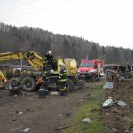 Bagr se svezl z návěsu a skončil v zahradnictví