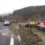 Bagr se svezl z návěsu a skončil v zahradnictví
