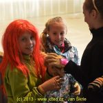 Lední revue strakonických krasobruslařů