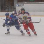 Hokej: Smůla v Praze. Kohouti podlehli Kobře