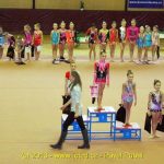 Milevsko vidělo další závod v moderní gymnastice