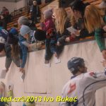 Hokej: Tábor vyprovodil Žďár. Kohouti jsou zpátky na čele tabulky