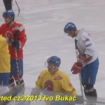 Včerejší trénink kohoutů. Zbrojili na dnešní klání v Bílině