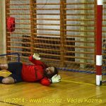 Překvapivým vítězem čimelické Siko