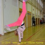 Překvapivým vítězem čimelické Siko