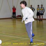 Překvapivým vítězem čimelické Siko