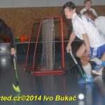 Florbal: Ženy Tábora jen těsně vyhrály s celky z konce tabulky