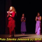 Waldorfskou školu v Písku odměnili bouřlivým potleskem