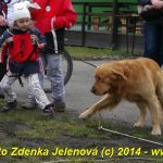 V Čížové létaly vzduchem vánoční stromky